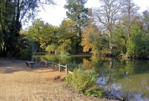 A phot of Cannon Hill Common lake now under the fishery management of the Wandle Piscators