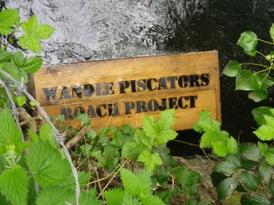 The Wandle Roach Project 